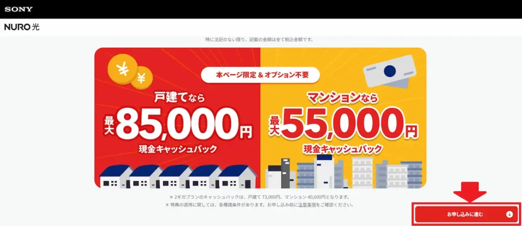 NURO光の公式特設サイトの画像