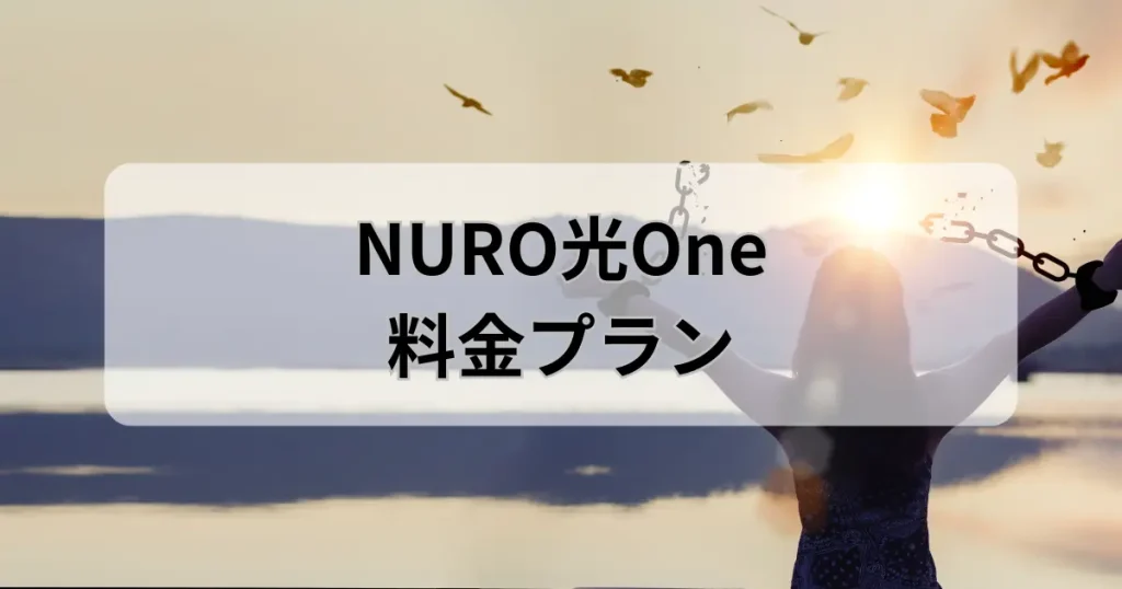 NURO光Oneの料金プランを表現した、鎖が外れて自由になる女性のシルエットのイメージ